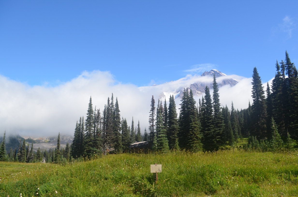 A photo of Mt. Rainier taken from near Indian Henrys.