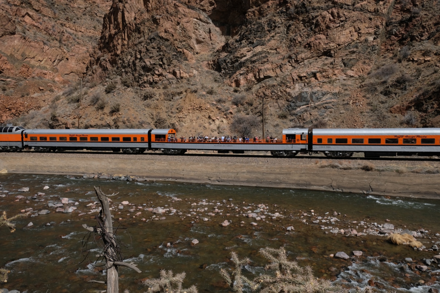 Tourists on passing train.