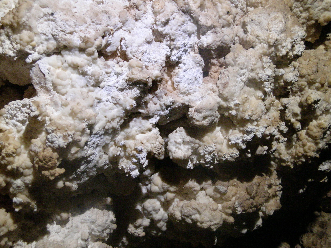 Some popcorn in Caballo Cave.