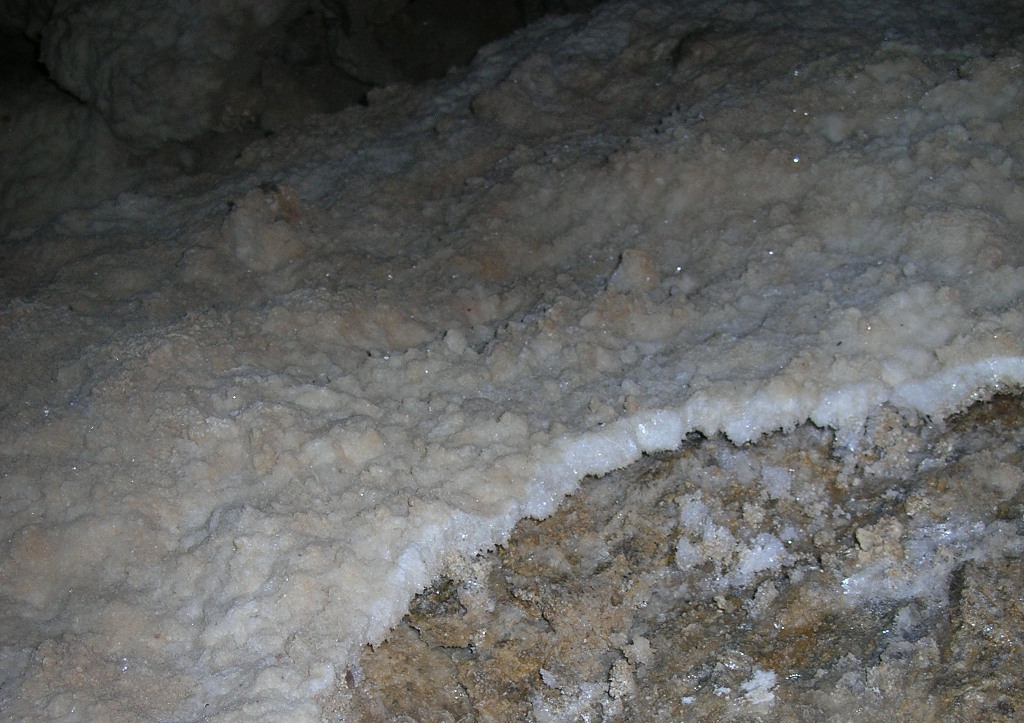 Some crystals in Caballo Cave.